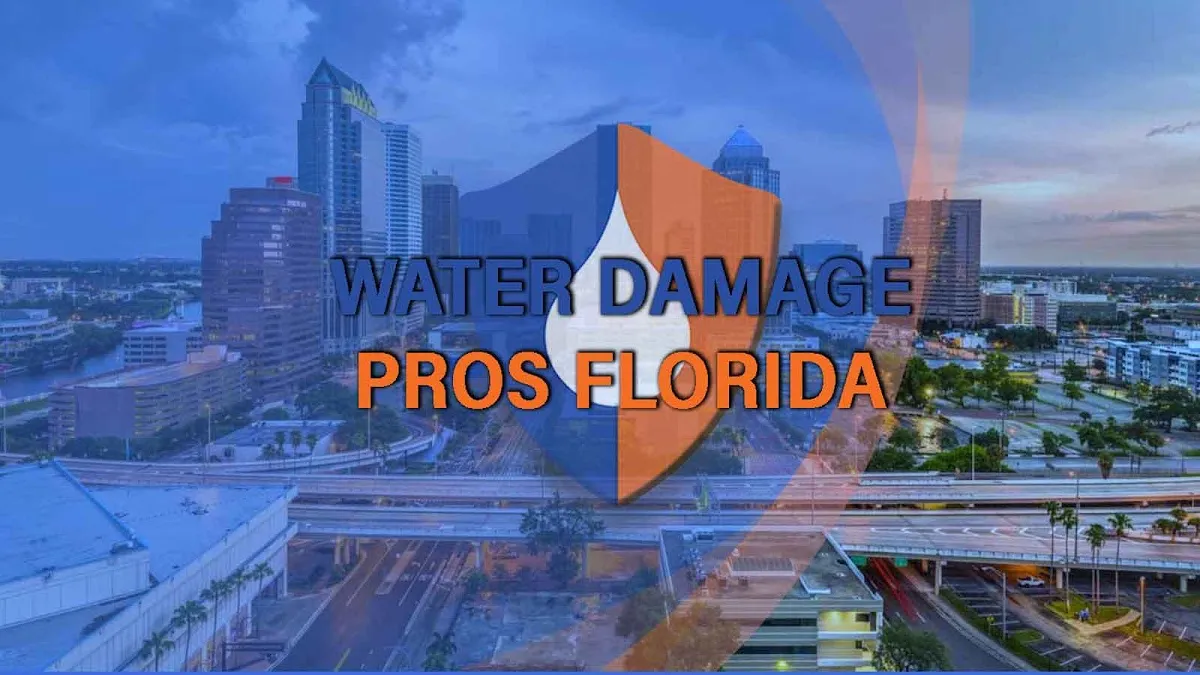 Water Damage Pros FL in Tampa