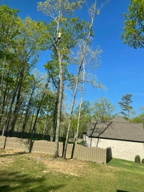 Gardner Tree Service in Huntsville