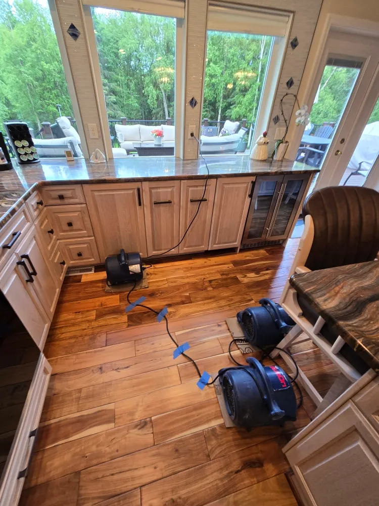 Fire & Flood Services Inc in Anchorage
