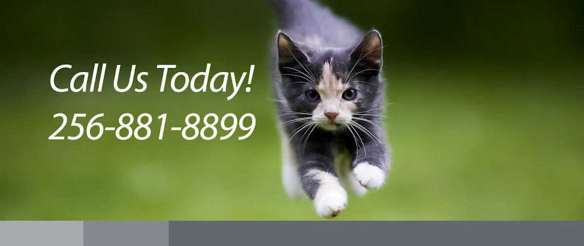 Valley Animal Hospital & Pet Resort in Huntsville