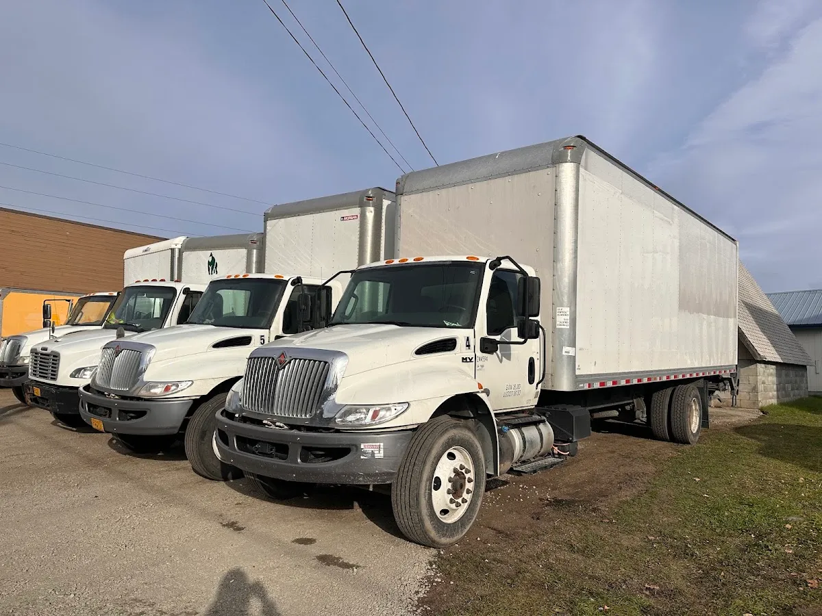 Green Gorilla Movers in Anchorage