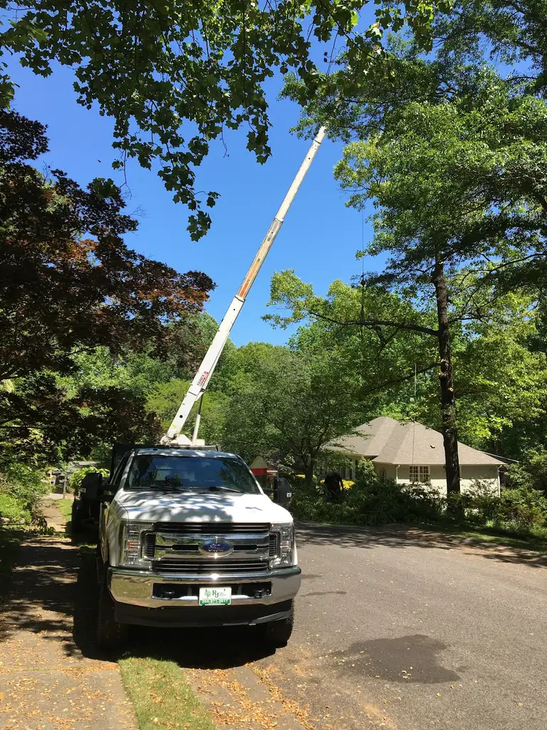 RJ Tree Service in Birmingham