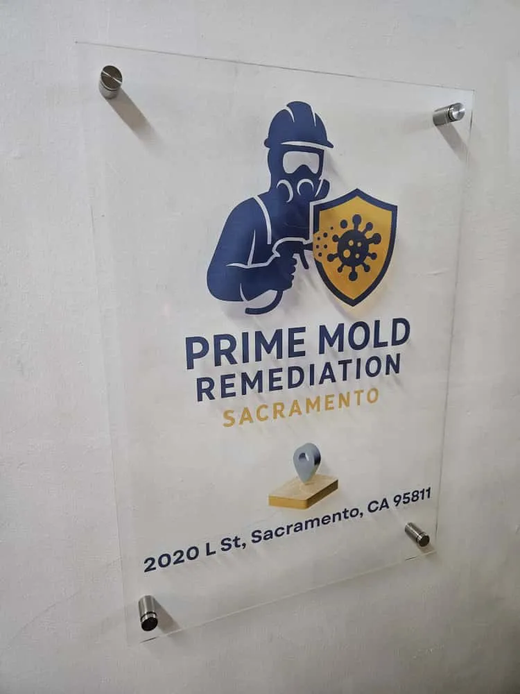 Prime Mold Remediation Sacramento in Sacramento
