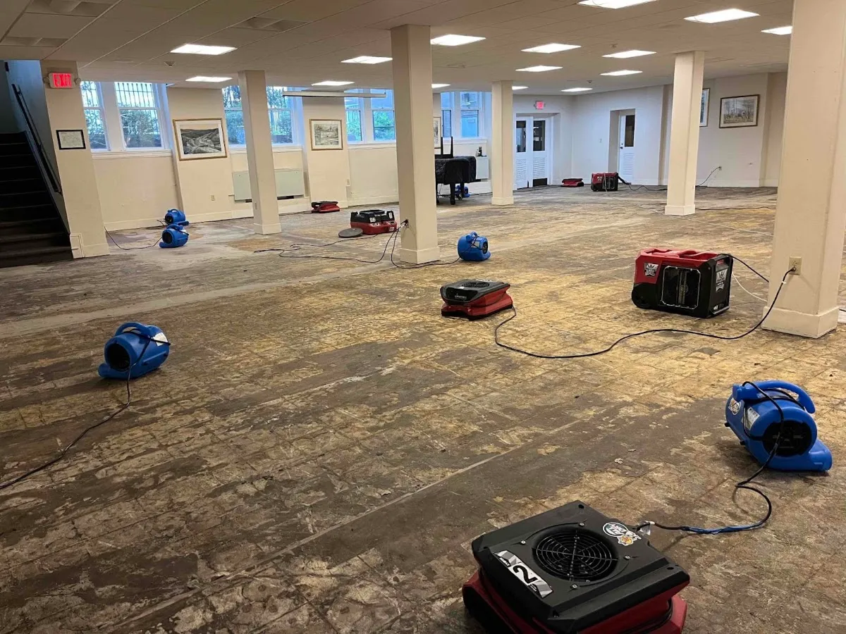 All Dry Services of Wilmington in Wilmington