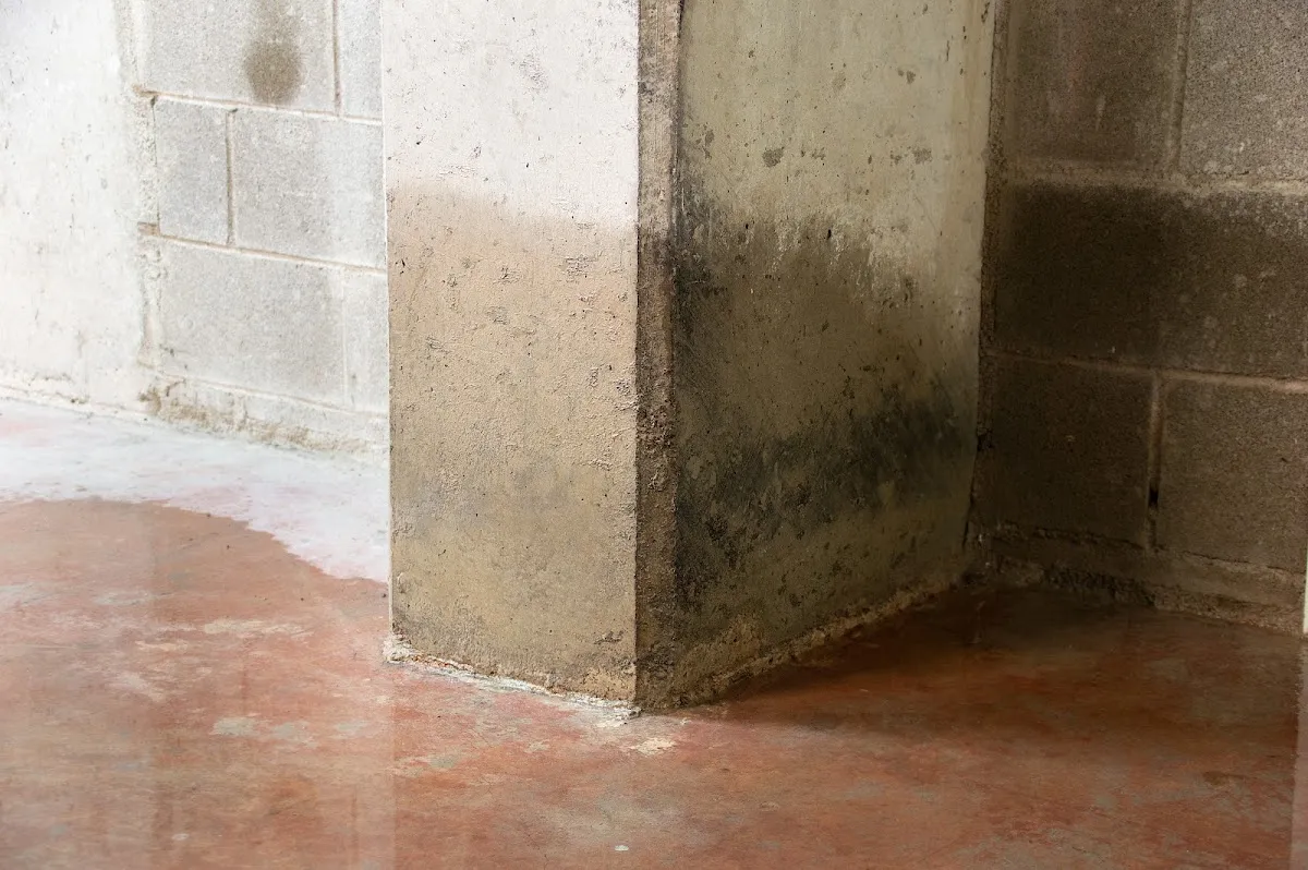 DFX Foundation & Waterproofing Experts in Little Rock