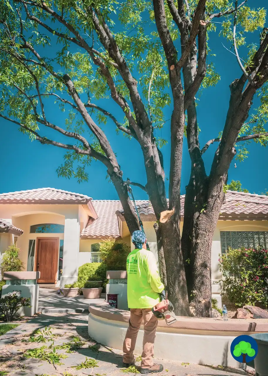 Diaz Tree and Landscape Management in Phoenix