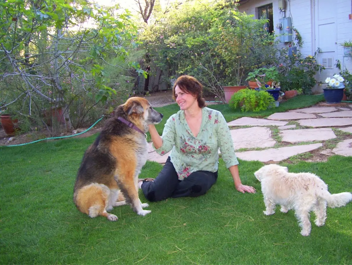 Home Sweet Home Pet Sitting and Dog Walking in Tucson