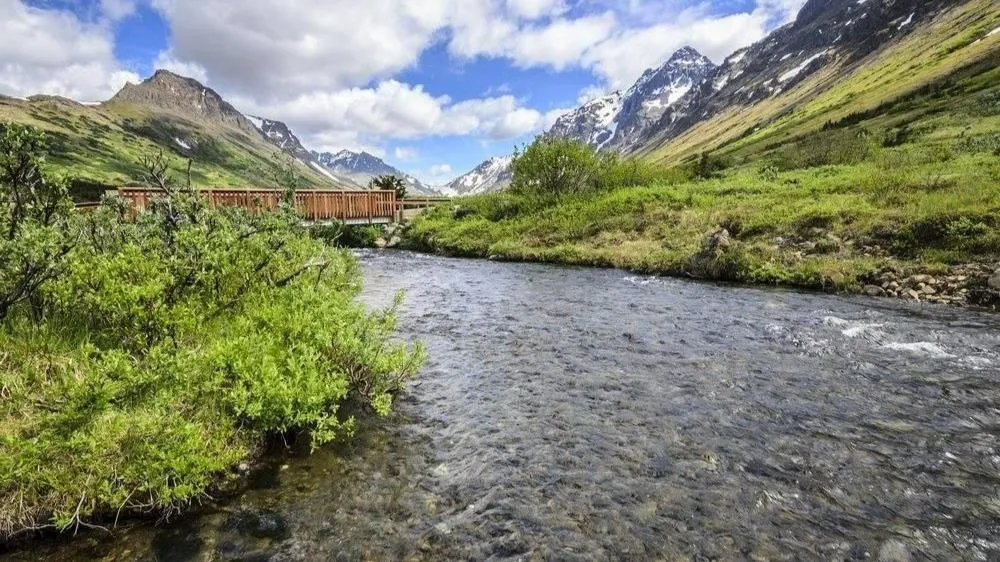 Counseling Solutions of Alaska in Anchorage