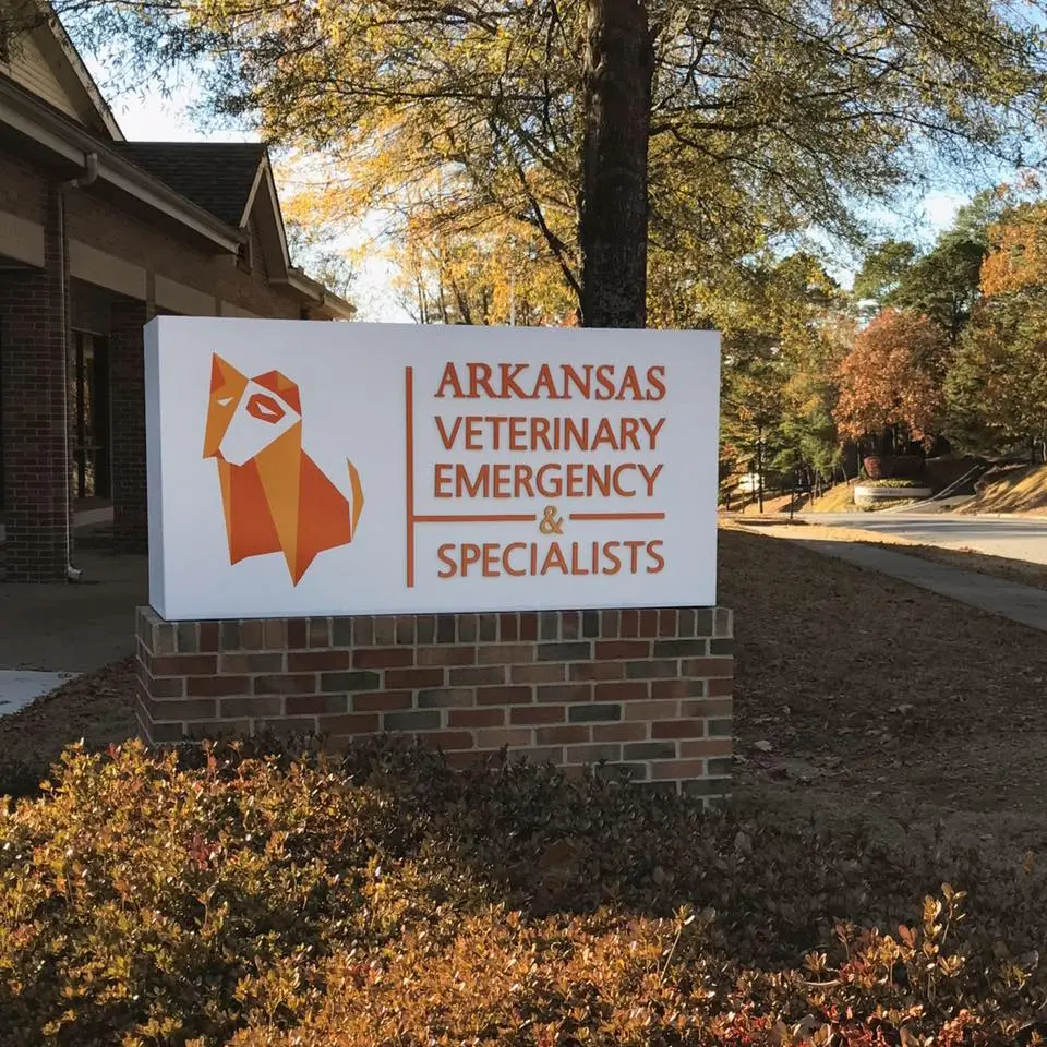 Arkansas Veterinary Emergency & Specialists in Little Rock