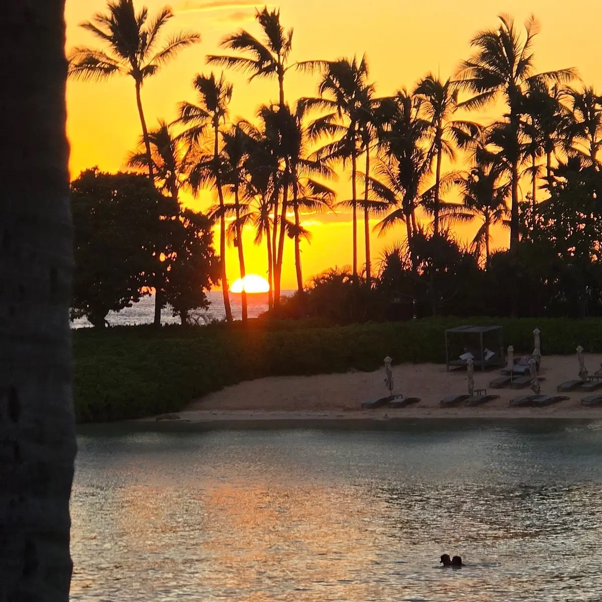 iTax and Bookkeeping Services LLC in Honolulu